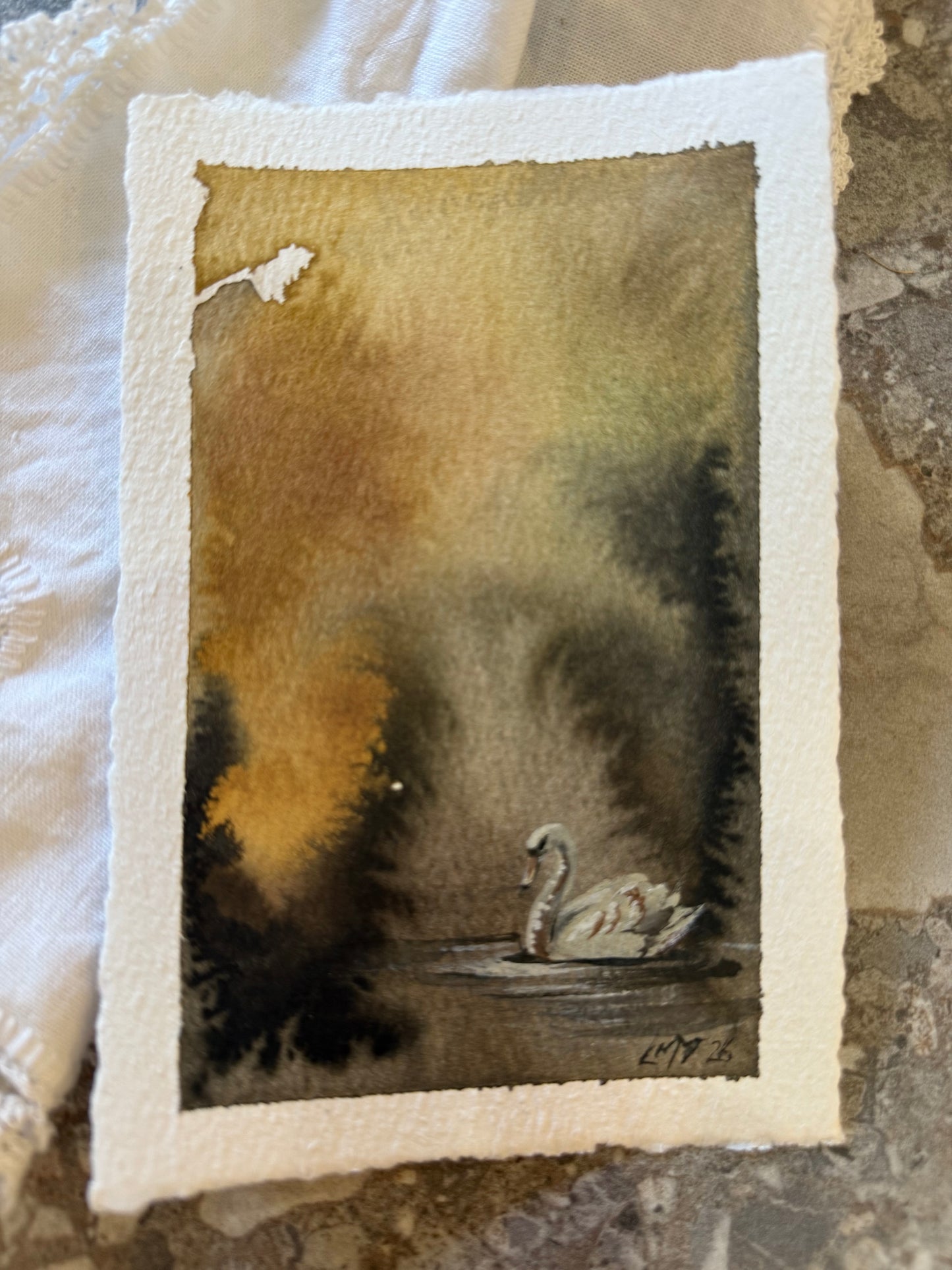 Water Colour; Swan Beauty - unframed - Linda Titow