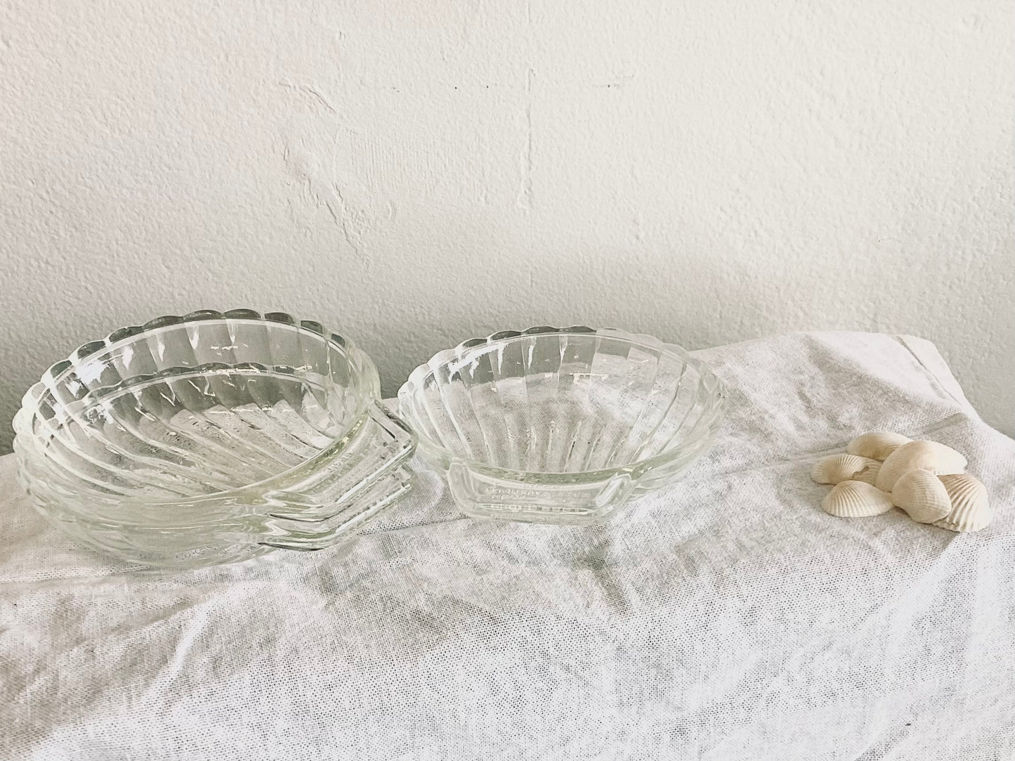 Clam Trinket Dish -  small