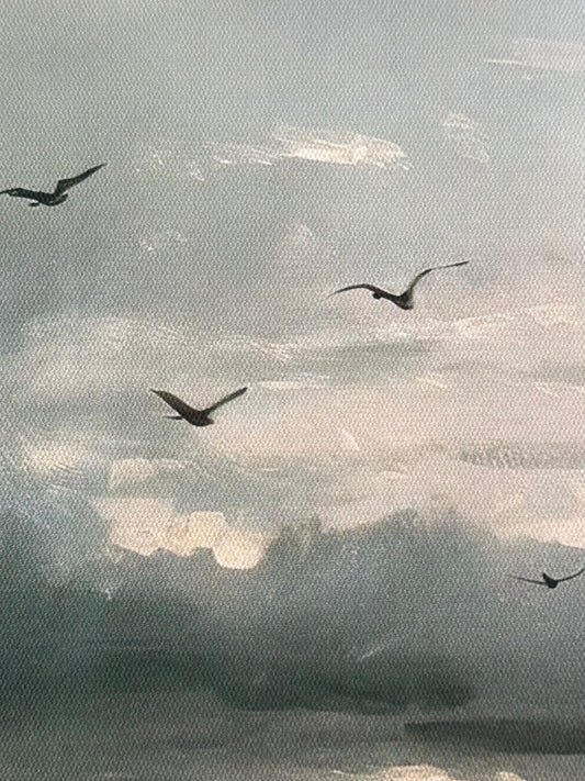 Antiqued Canvas Print - Birds in Dark Sky 35cm x 50cm