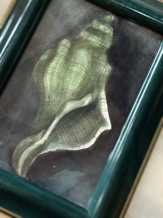 Water Colour Crescent Green Shell - Linda Titow