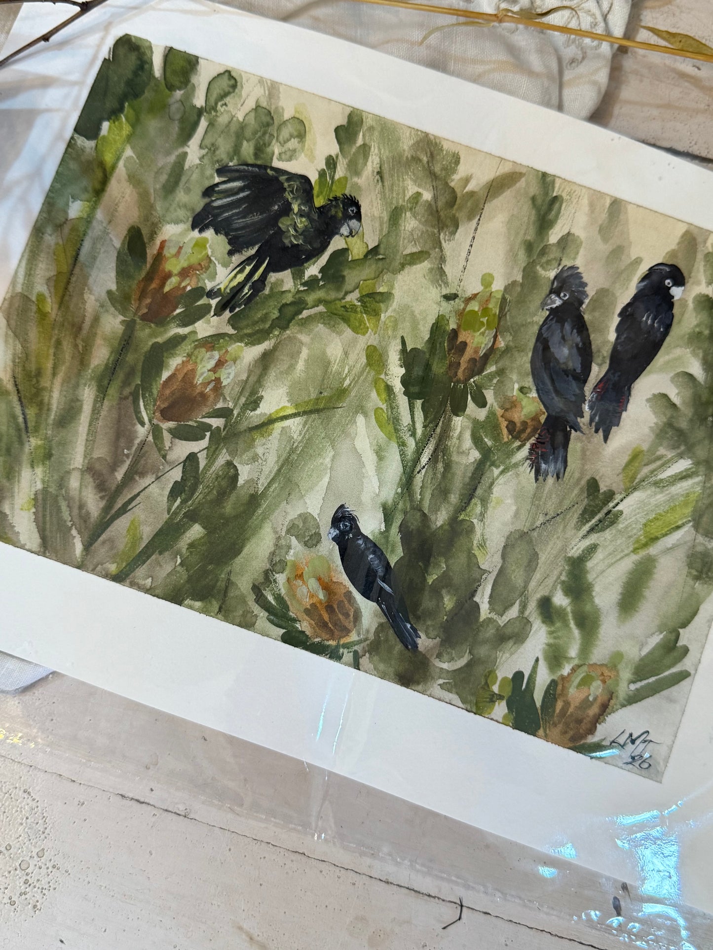 Water Colour; The Black Quartet - unframed - Linda Titow