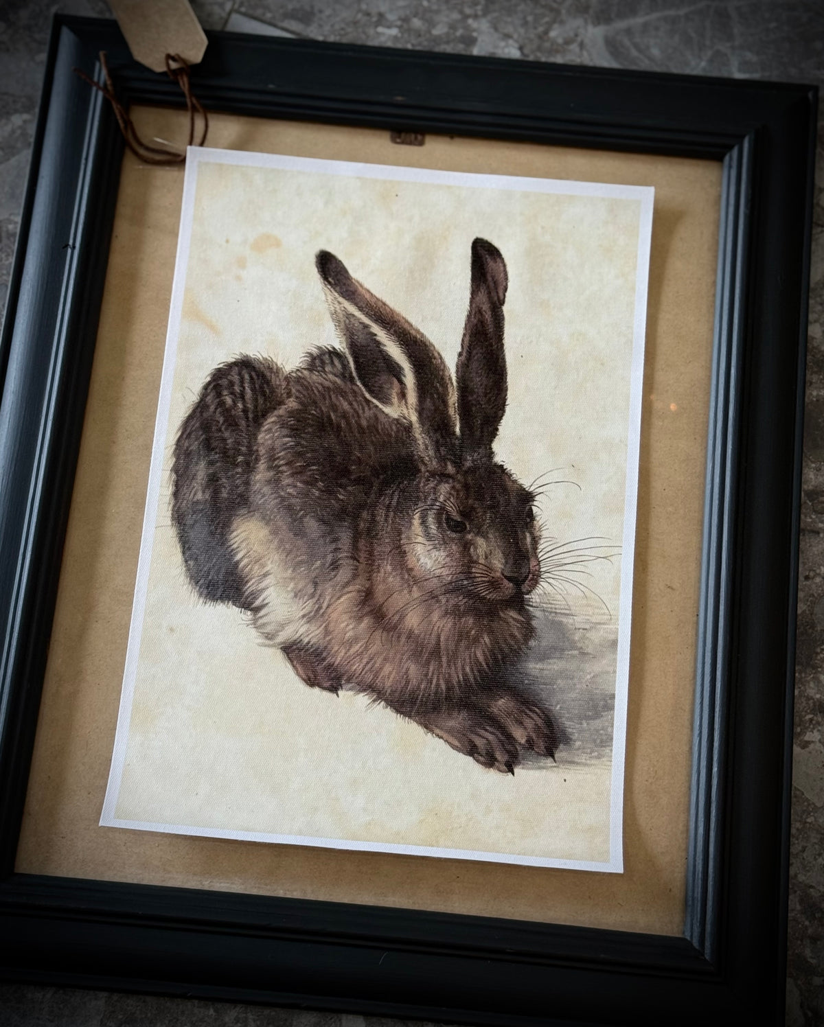 Antiqued Canvas Print - Hare 20cm x 30cm
