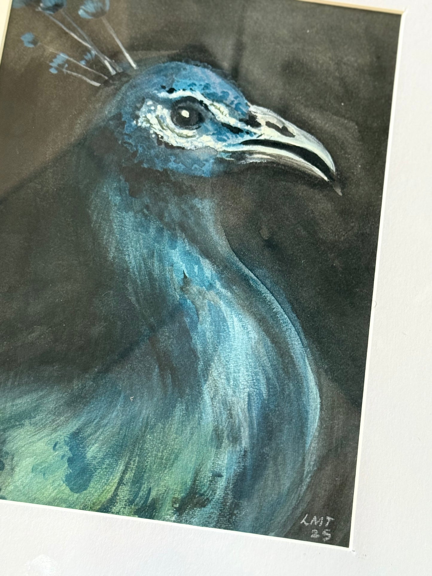 Water Colour; Peacock - Linda Titow