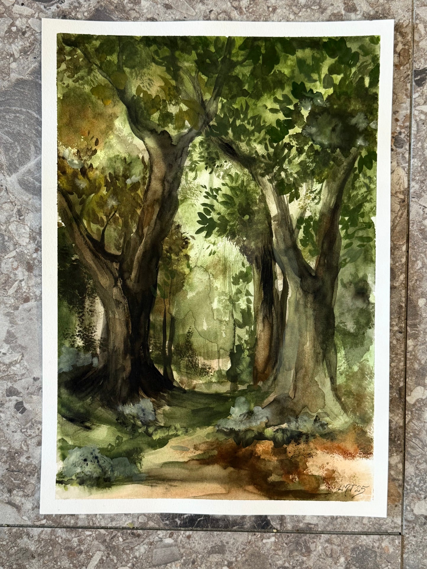 Water Colour; Fairy Tale Forest - unframed - Linda Titow
