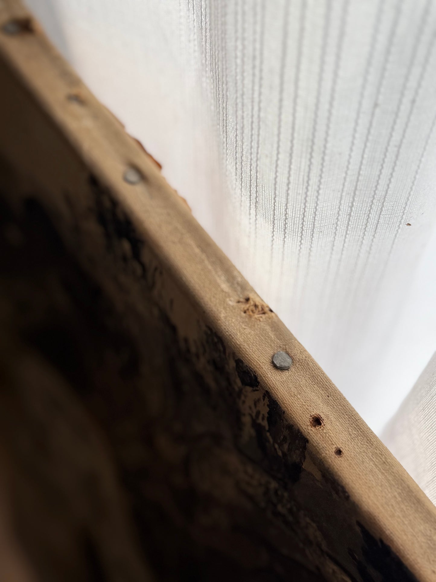 Antique Swan Painting