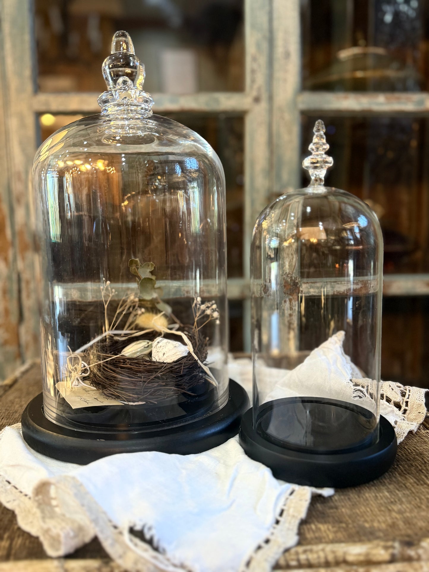 Large Glass Dome Cloche and Base