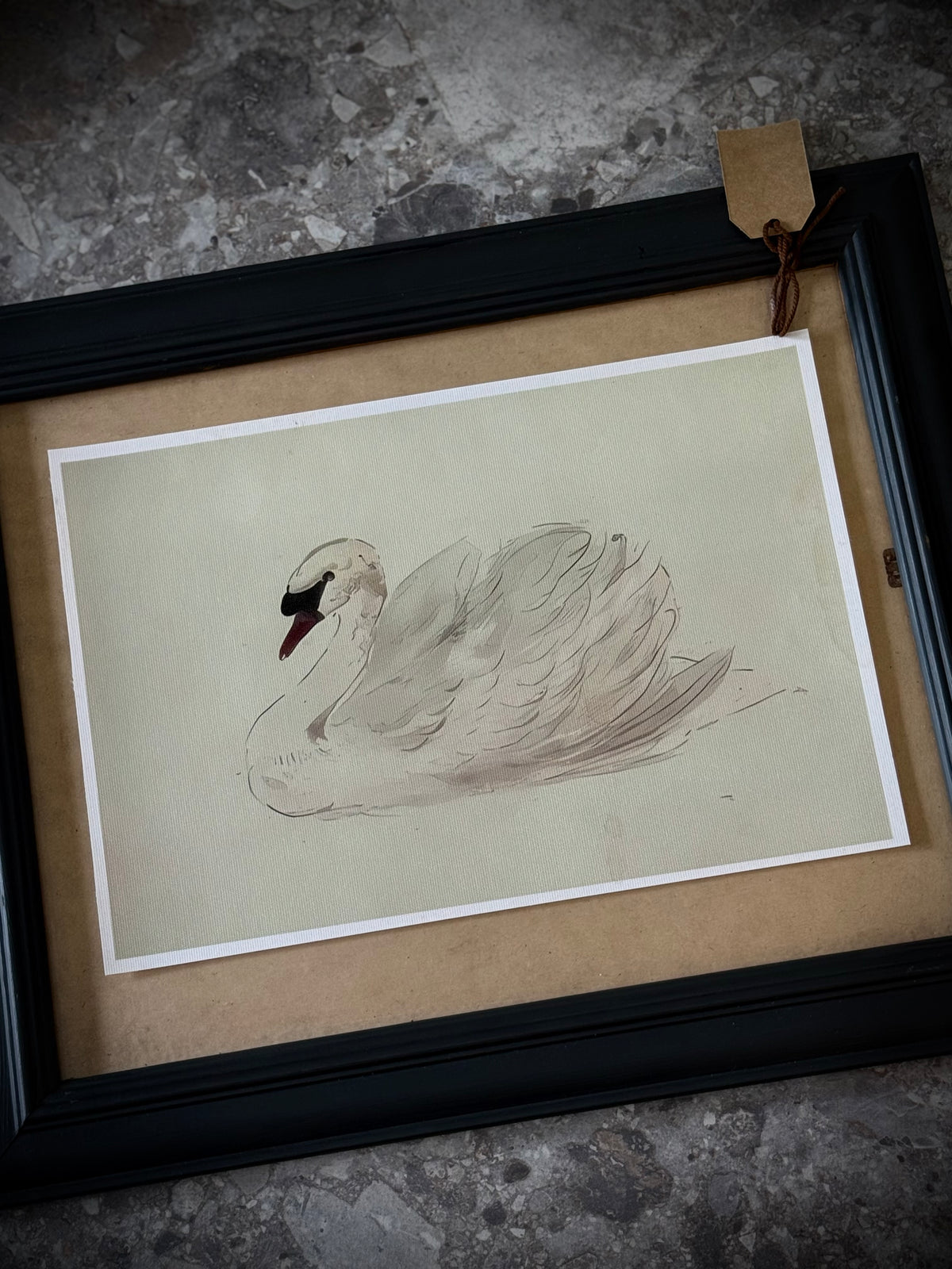 Antiqued Canvas Print - White Swan 30cm x 21cm