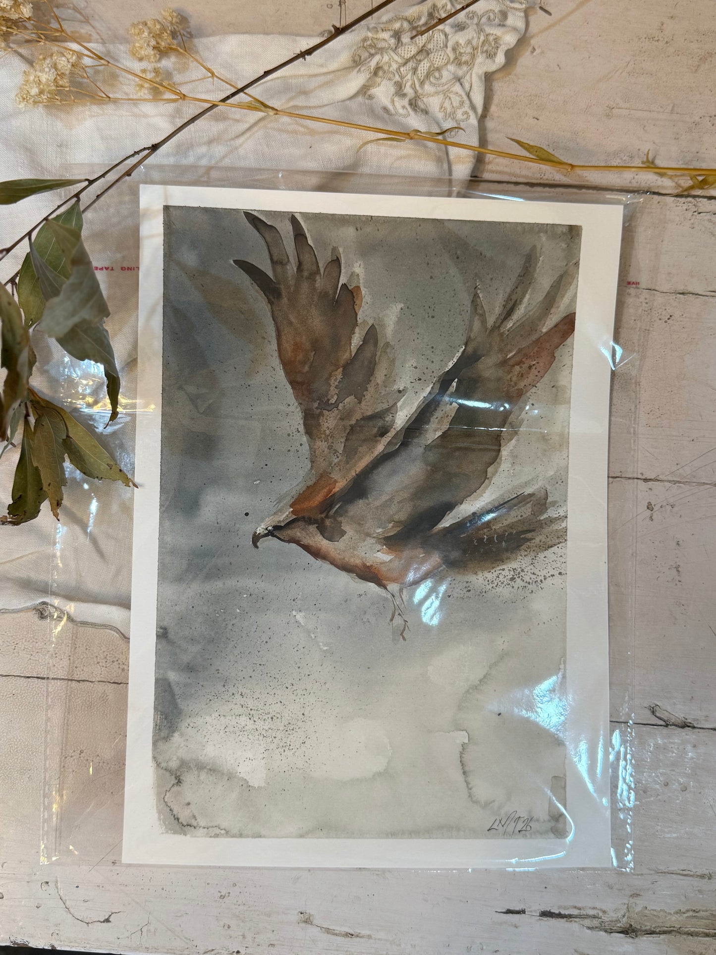Water Colour; Wings of Strength - unframed - Linda Titow