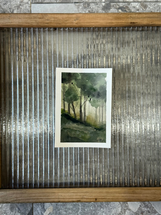 Water Colour; Forest Birds - unframed - Linda Titow