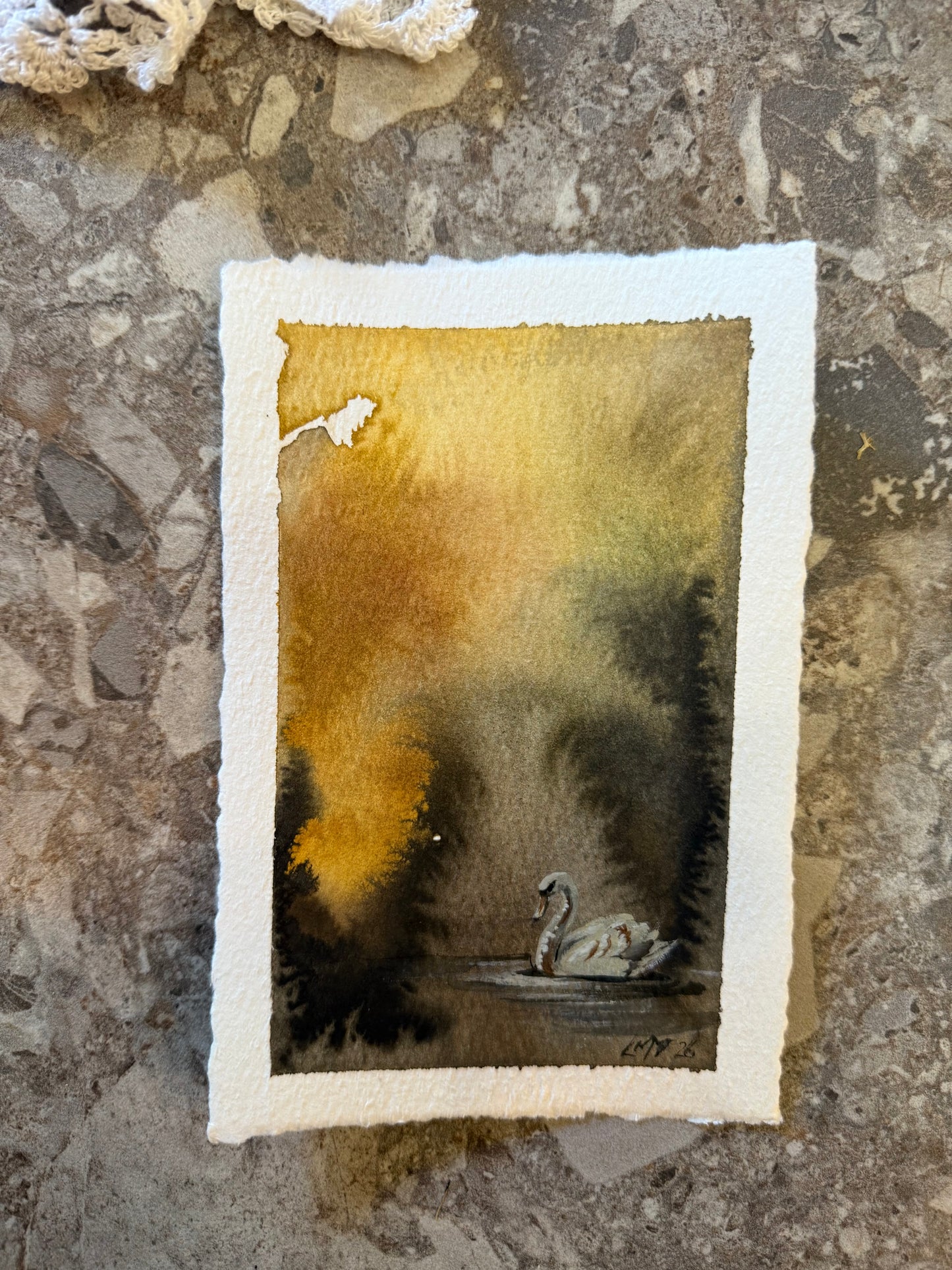 Water Colour; Swan Beauty - unframed - Linda Titow
