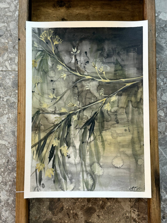 Water Colour; Eucalypt Blossom - unframed - Linda Titow