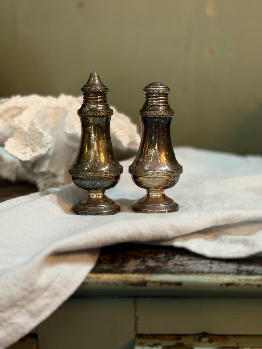 Silver Salt & Pepper Shakers