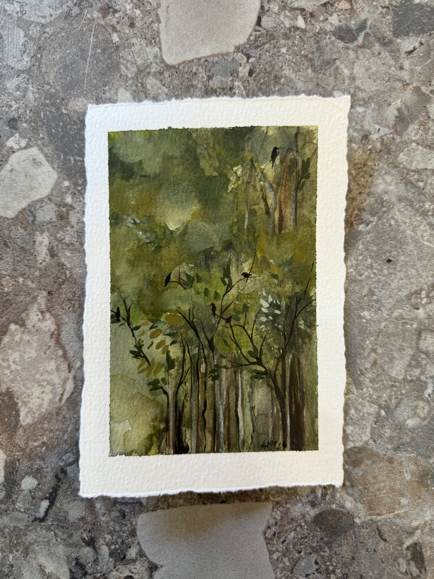 Water Colour; Forest Birds - unframed - Linda Titow