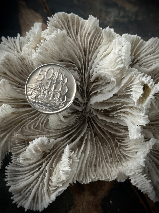 Art Jewellery - Salvaged Coin Ring - Endeavour Ship