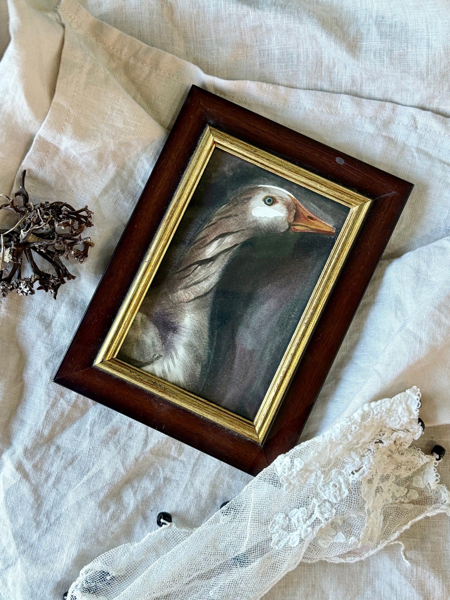 Water Colour Goose - Linda Titow