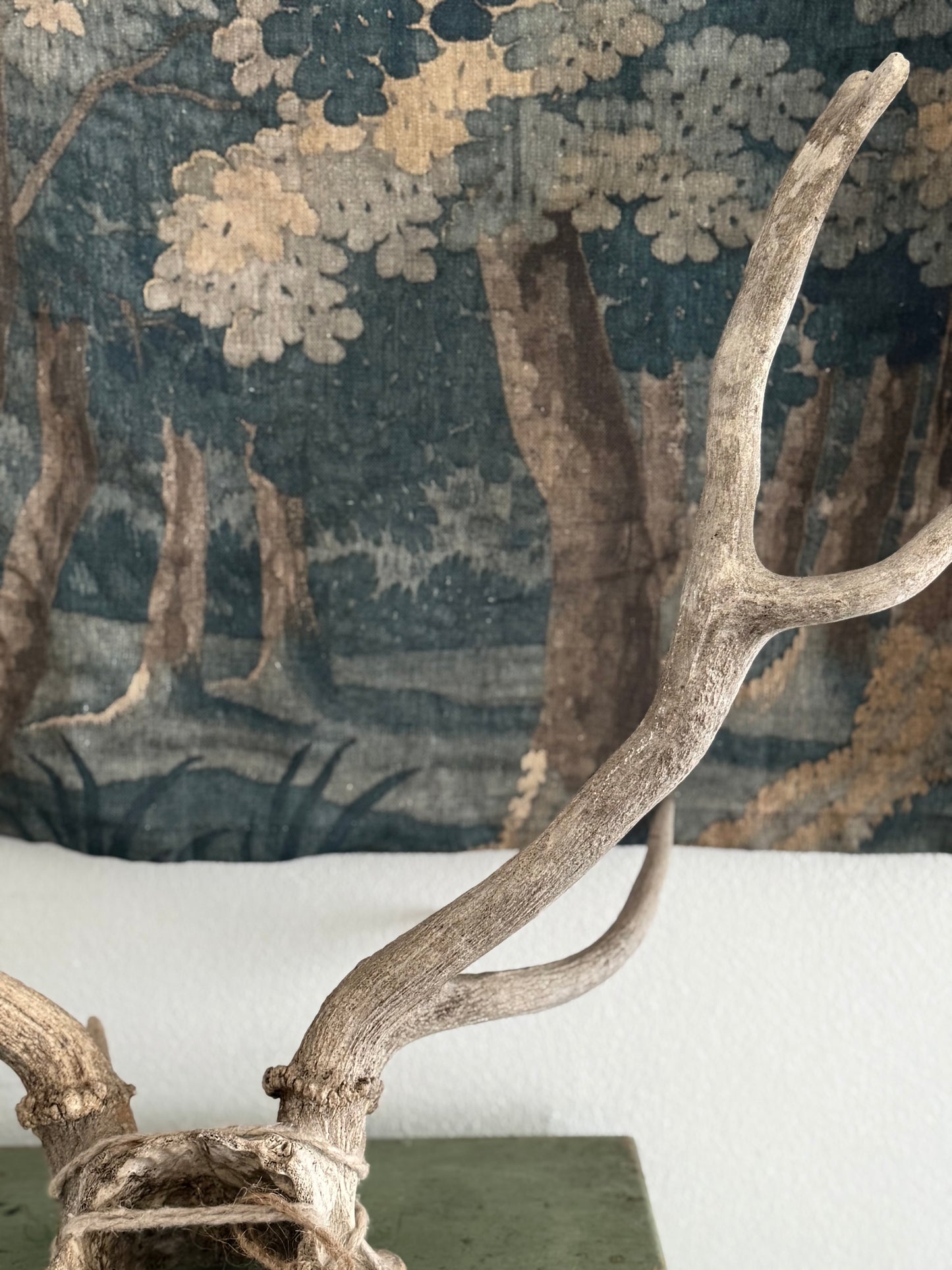 Antique Antlers