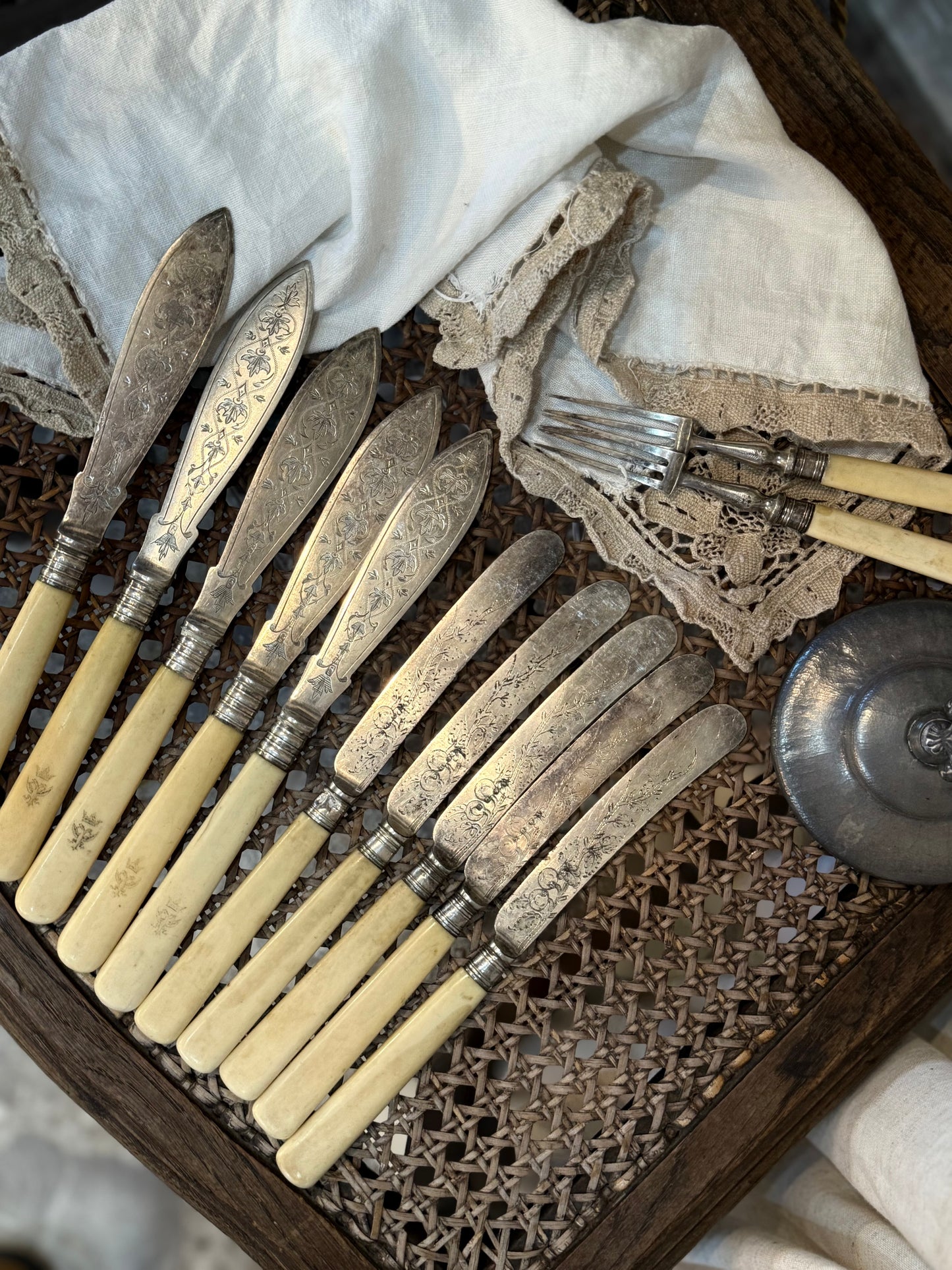 Vintage Bone-Handled Cutlery Set