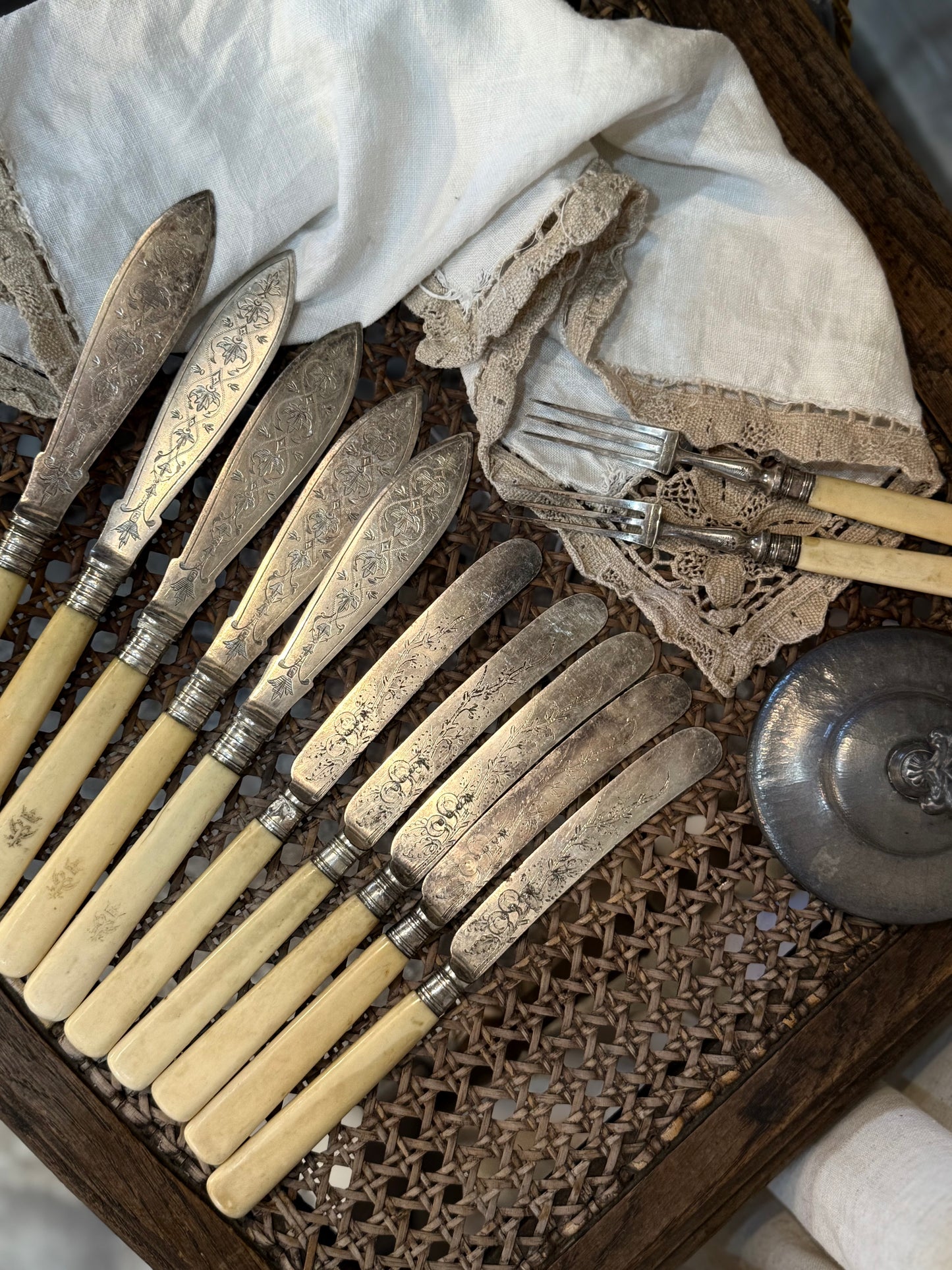 Vintage Bone-Handled Cutlery Set