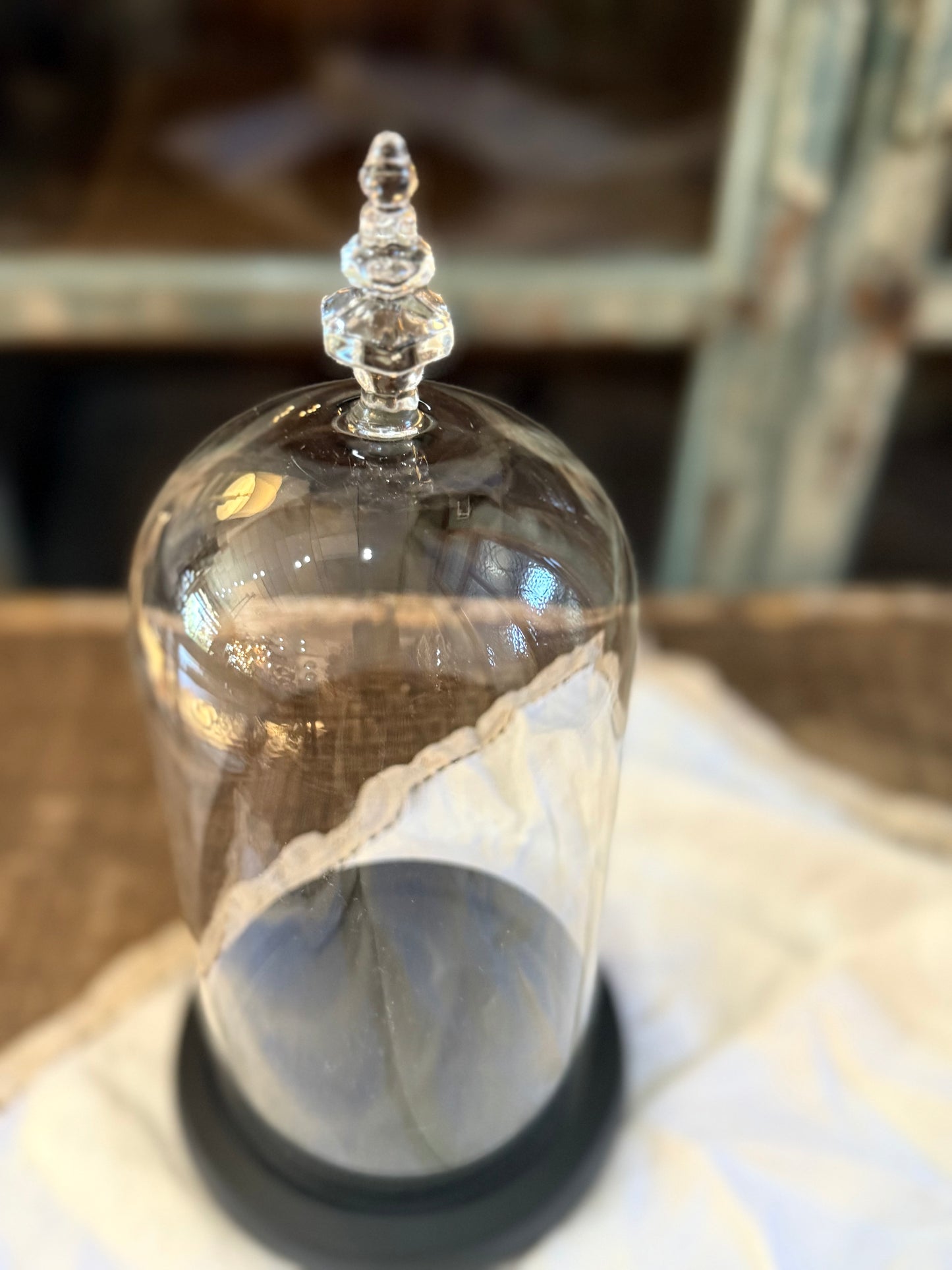 Medium Glass Dome Cloche and Base