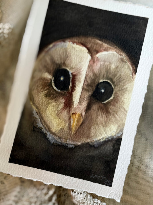 Water Colour; Night Owl - unframed - Linda Titow