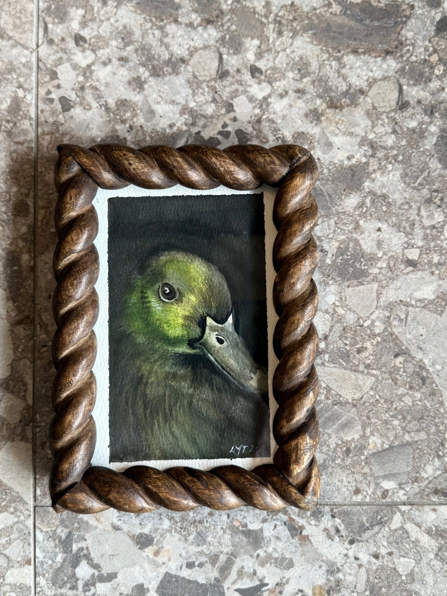 Water Colour; Darling Duck - framed - Linda Titow