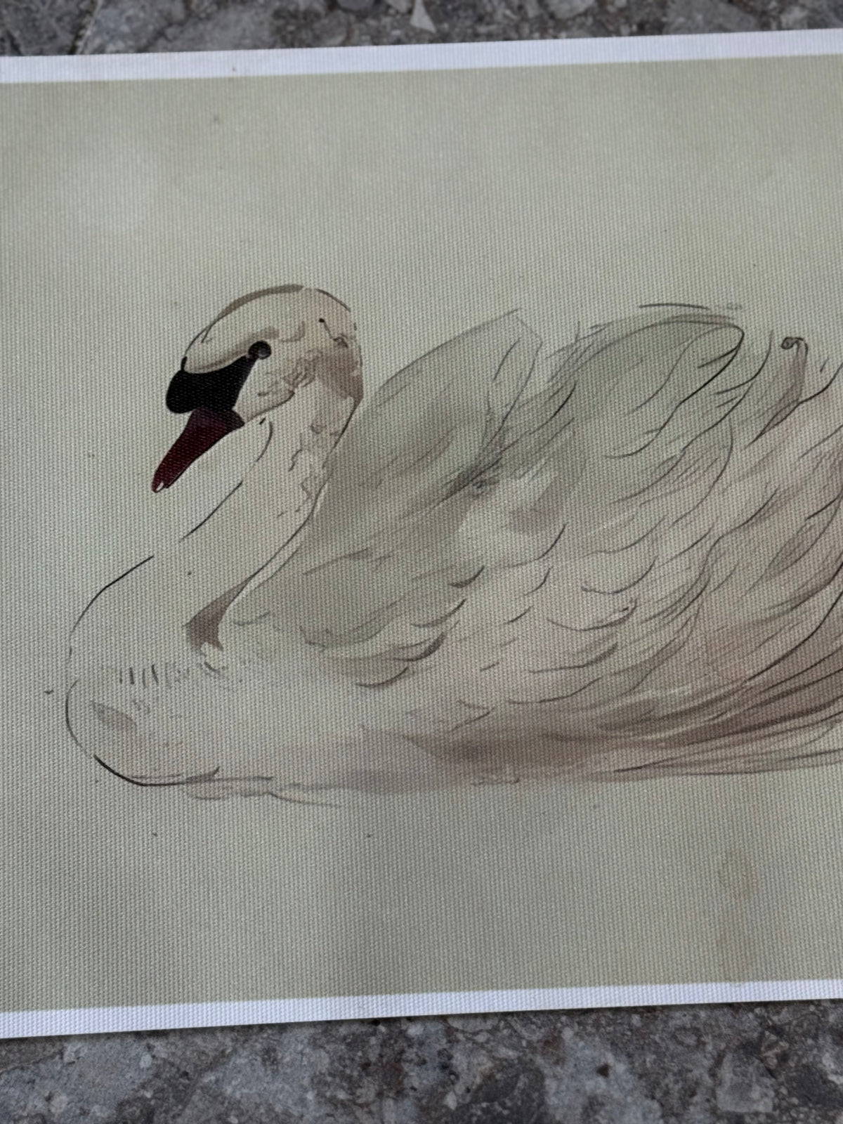 Antiqued Canvas Print - White Swan 30cm x 21cm