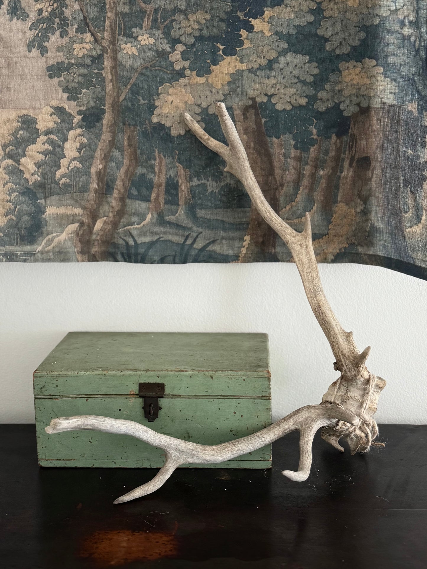 Antique Antlers