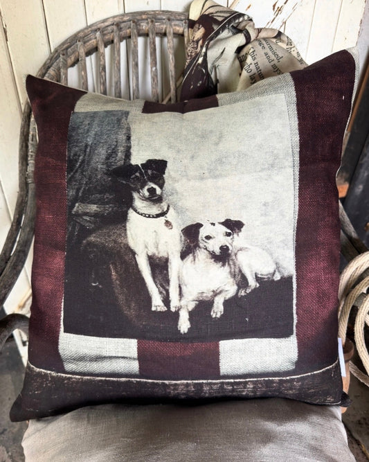 Two Little Dogs 50cm x 50cm - Barbara O'Donovan Designs