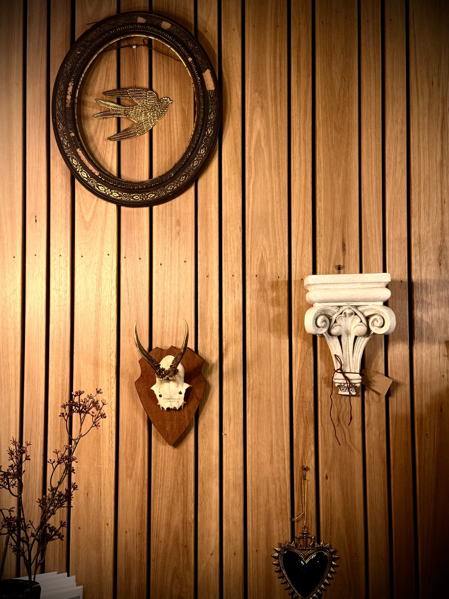 Small European Deer Antler, mounted