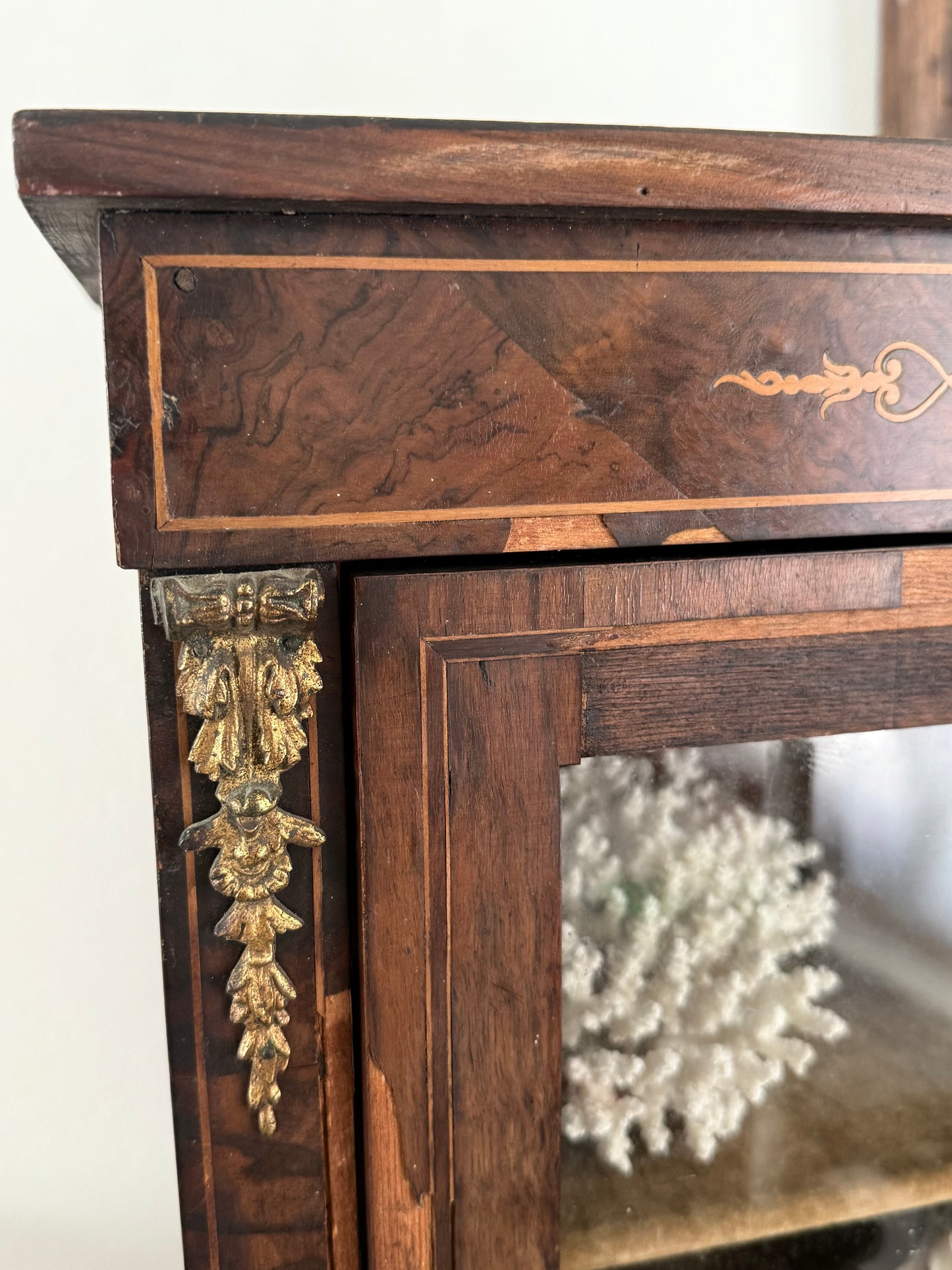 Victorian Pier Curiosity Cabinet