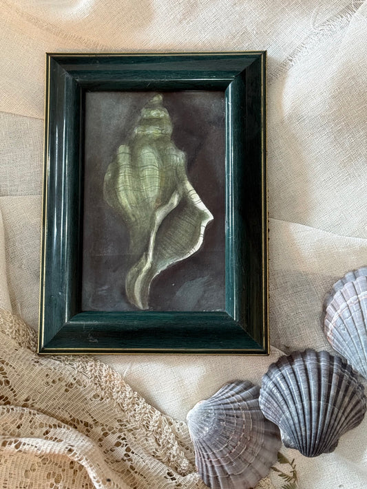 Water Colour Crescent Green Shell - Linda Titow