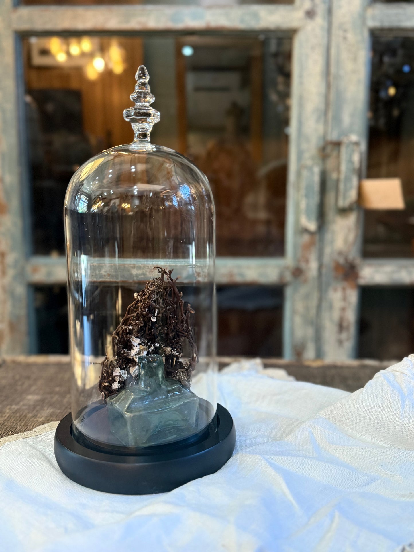 Medium Glass Dome Cloche and Base