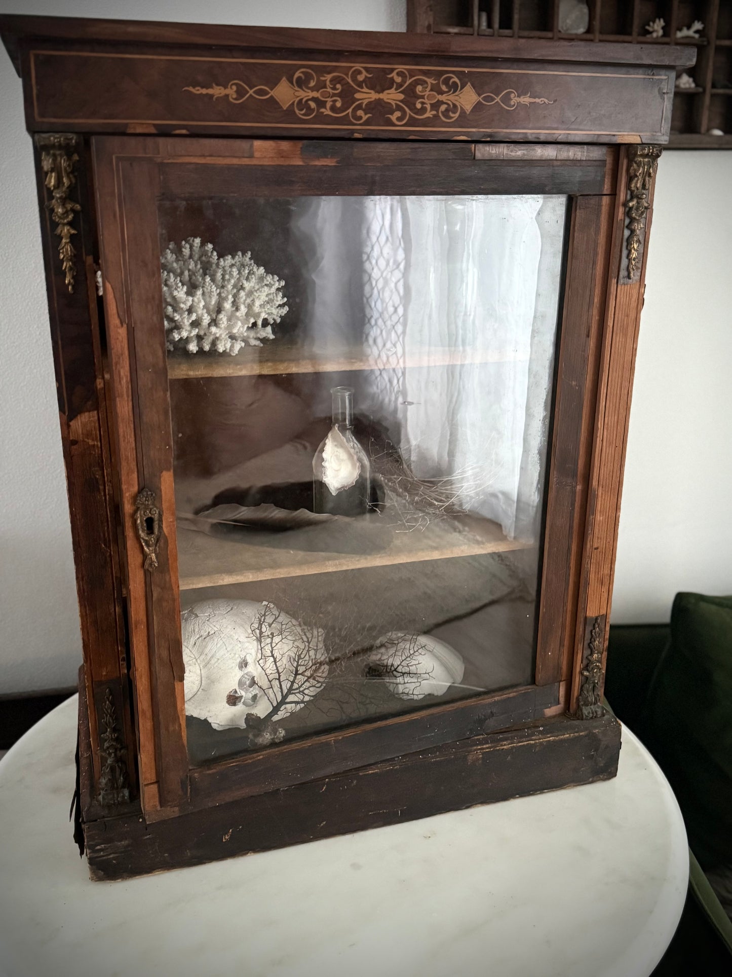Victorian Pier Curiosity Cabinet