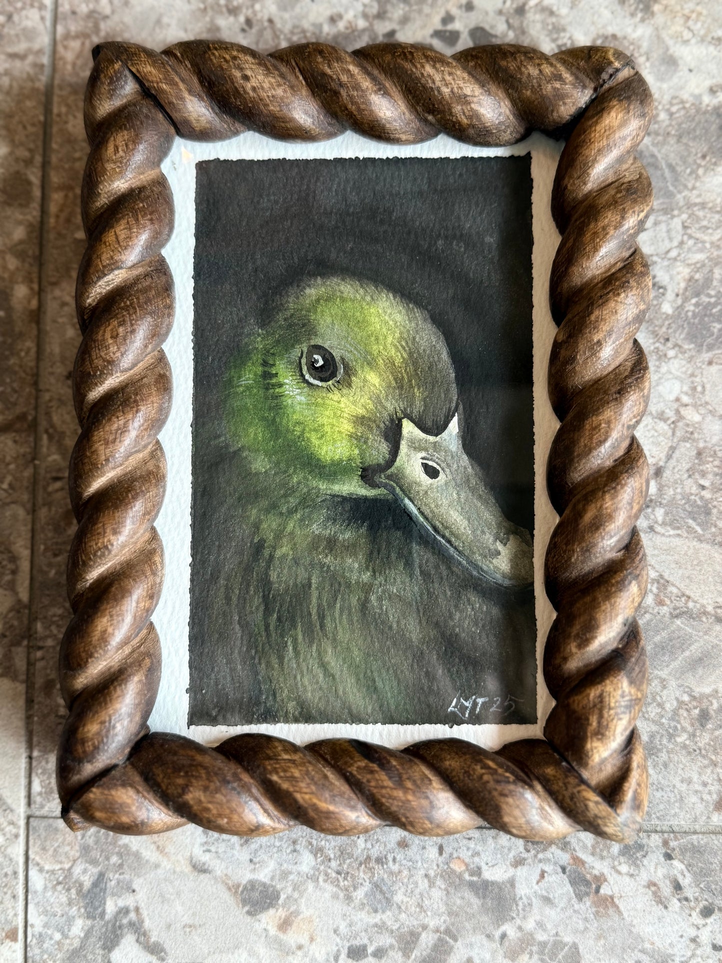 Water Colour; Darling Duck - framed - Linda Titow
