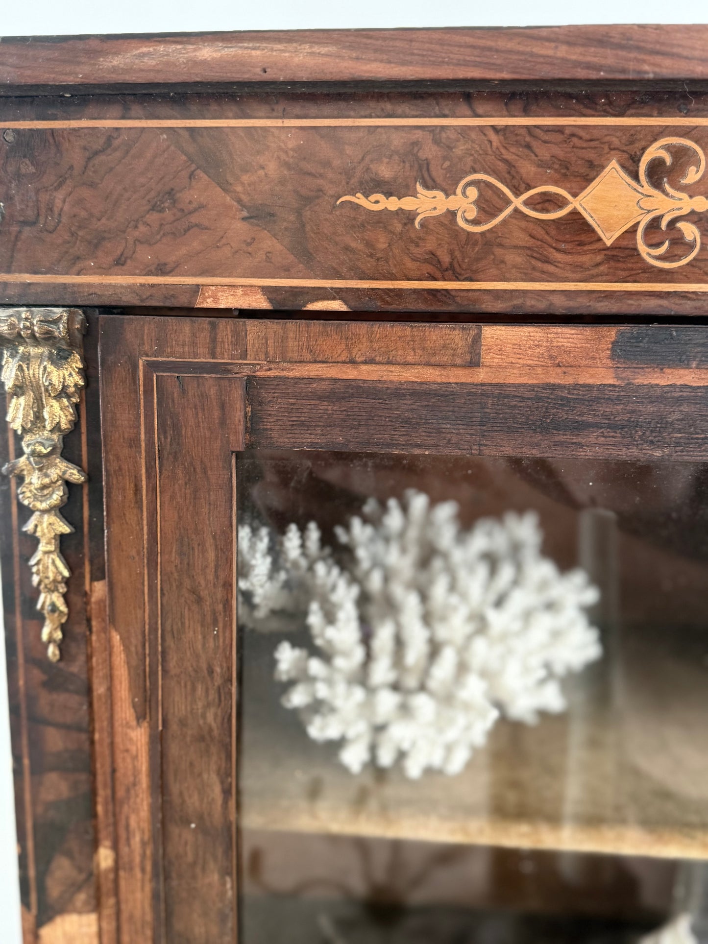 Victorian Pier Curiosity Cabinet