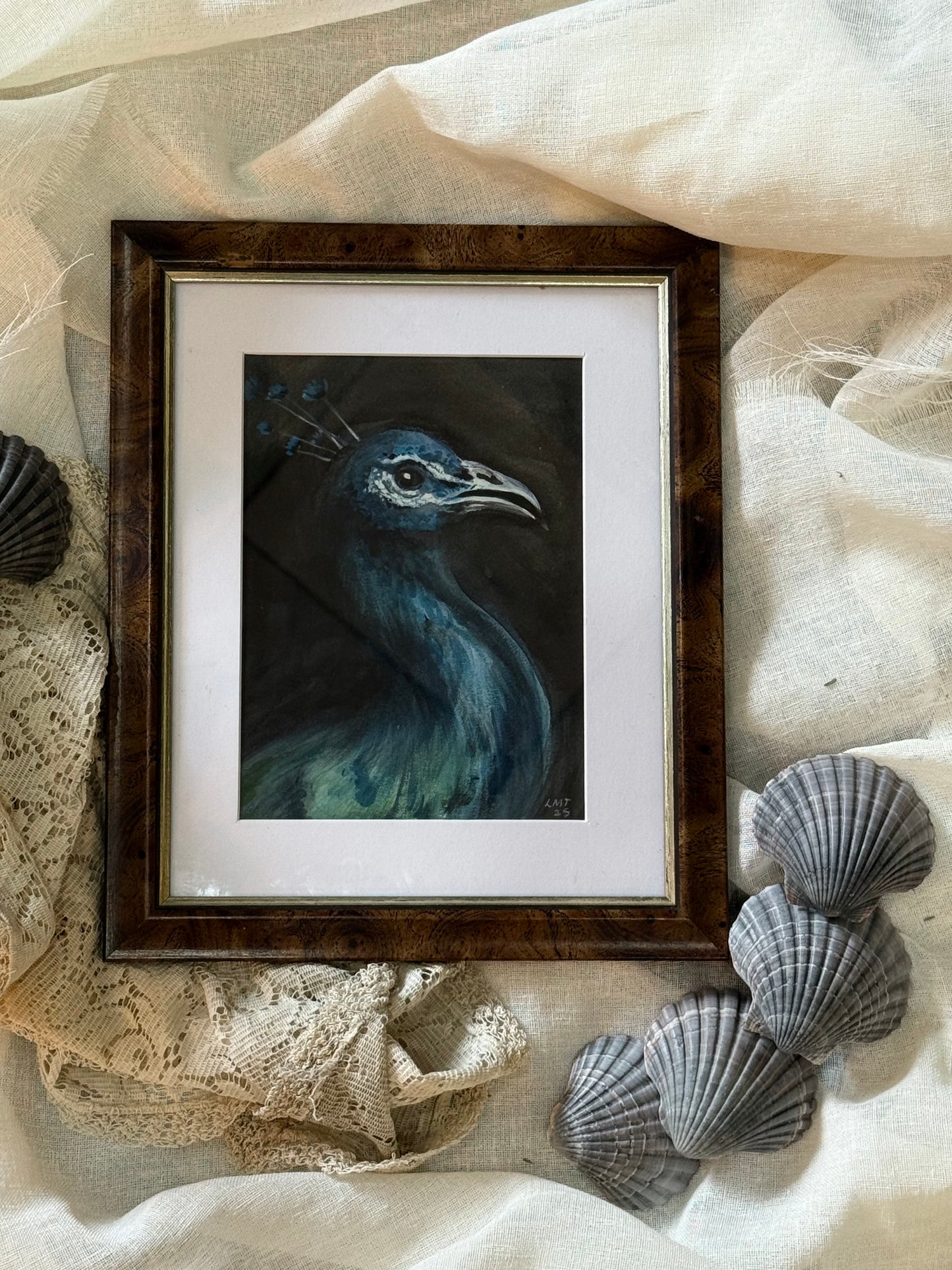 Water Colour; Peacock - Linda Titow