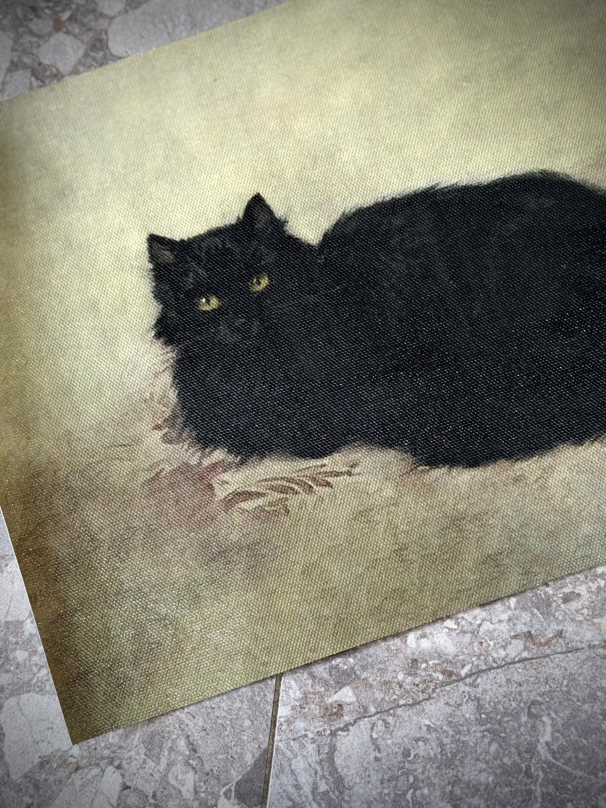 Antiqued Canvas Print - Black Cat 21cm x 30cm