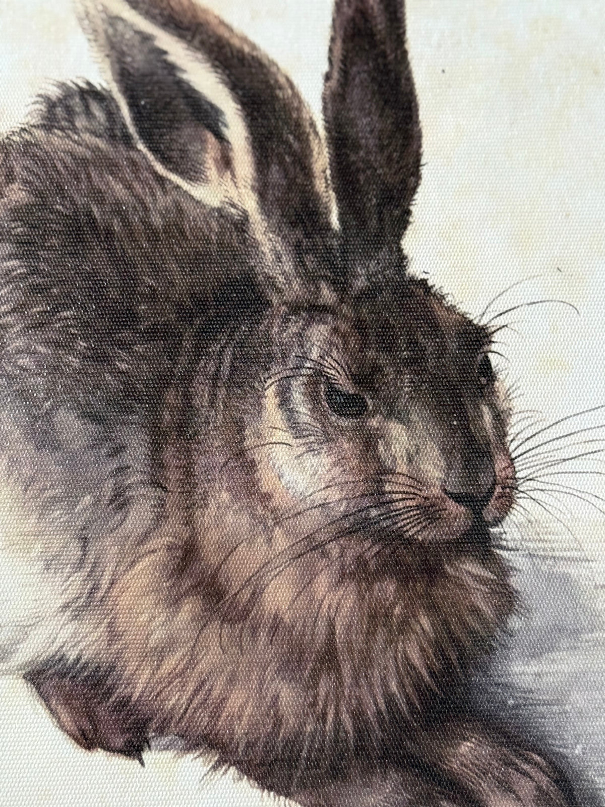 Antiqued Canvas Print - Hare 20cm x 30cm
