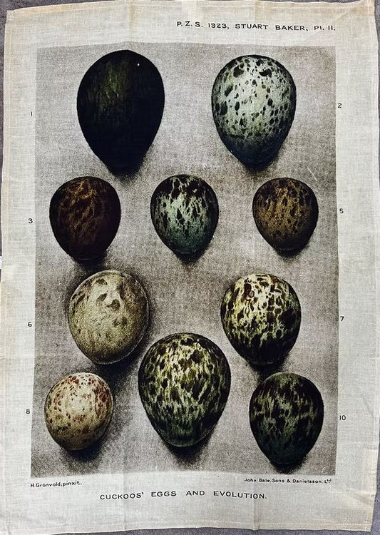 Linen Tea Towel Bird Egg Collection - Barbara O-Donovan Designs