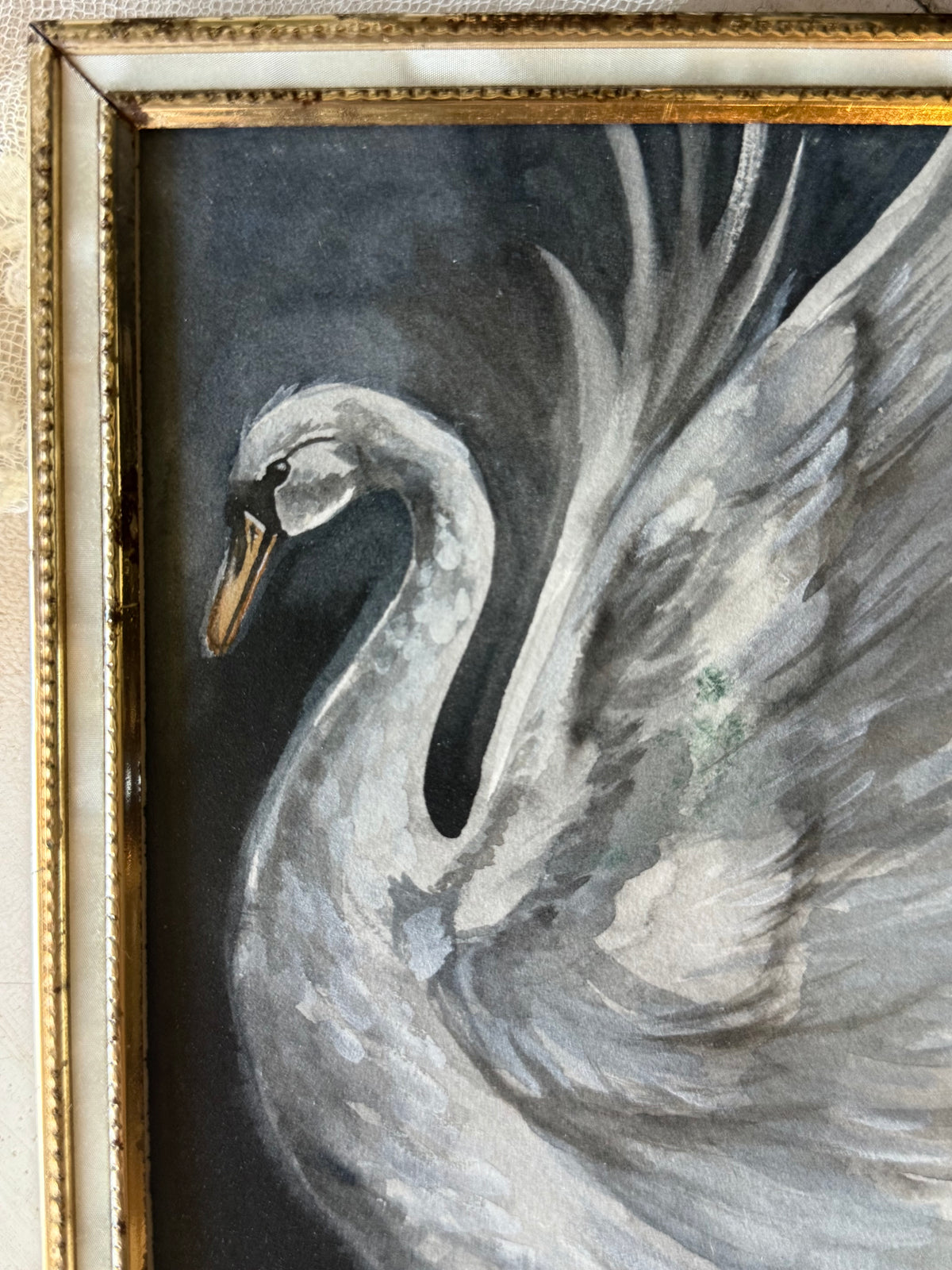Water Colour; Swan Flutter - Linda Titow