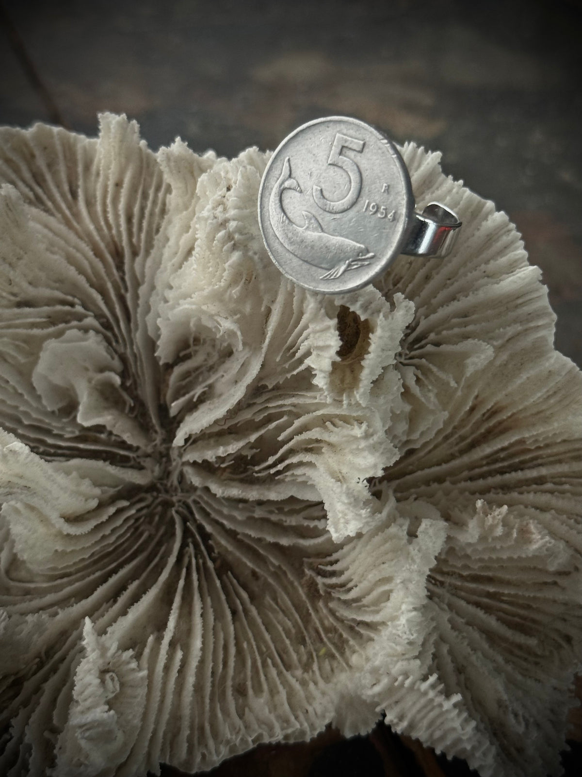 Art Jewellery - Salvaged Coin Ring Dolphin