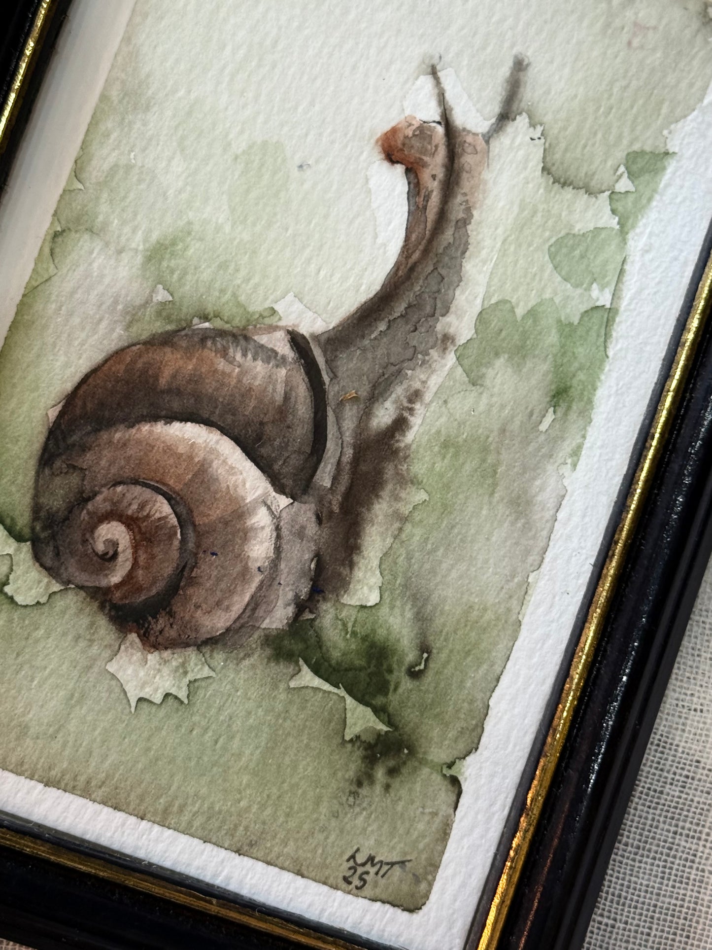 Water Colour; Inquisitive Snail - Linda Titow