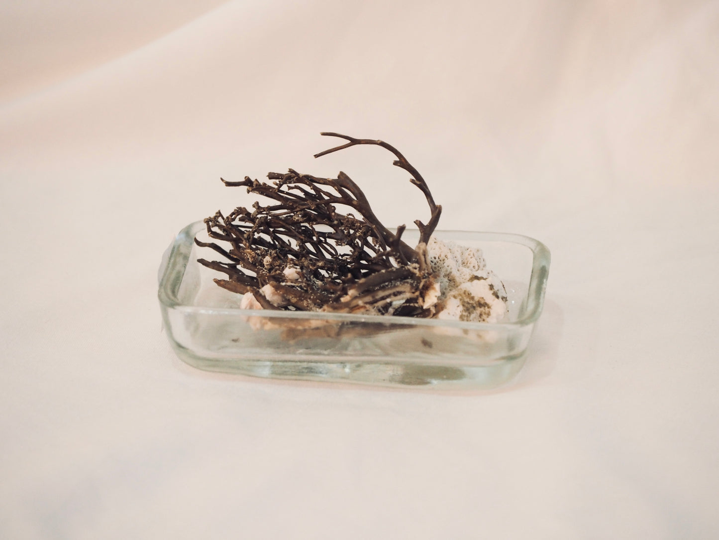 Sea Treasure Dish