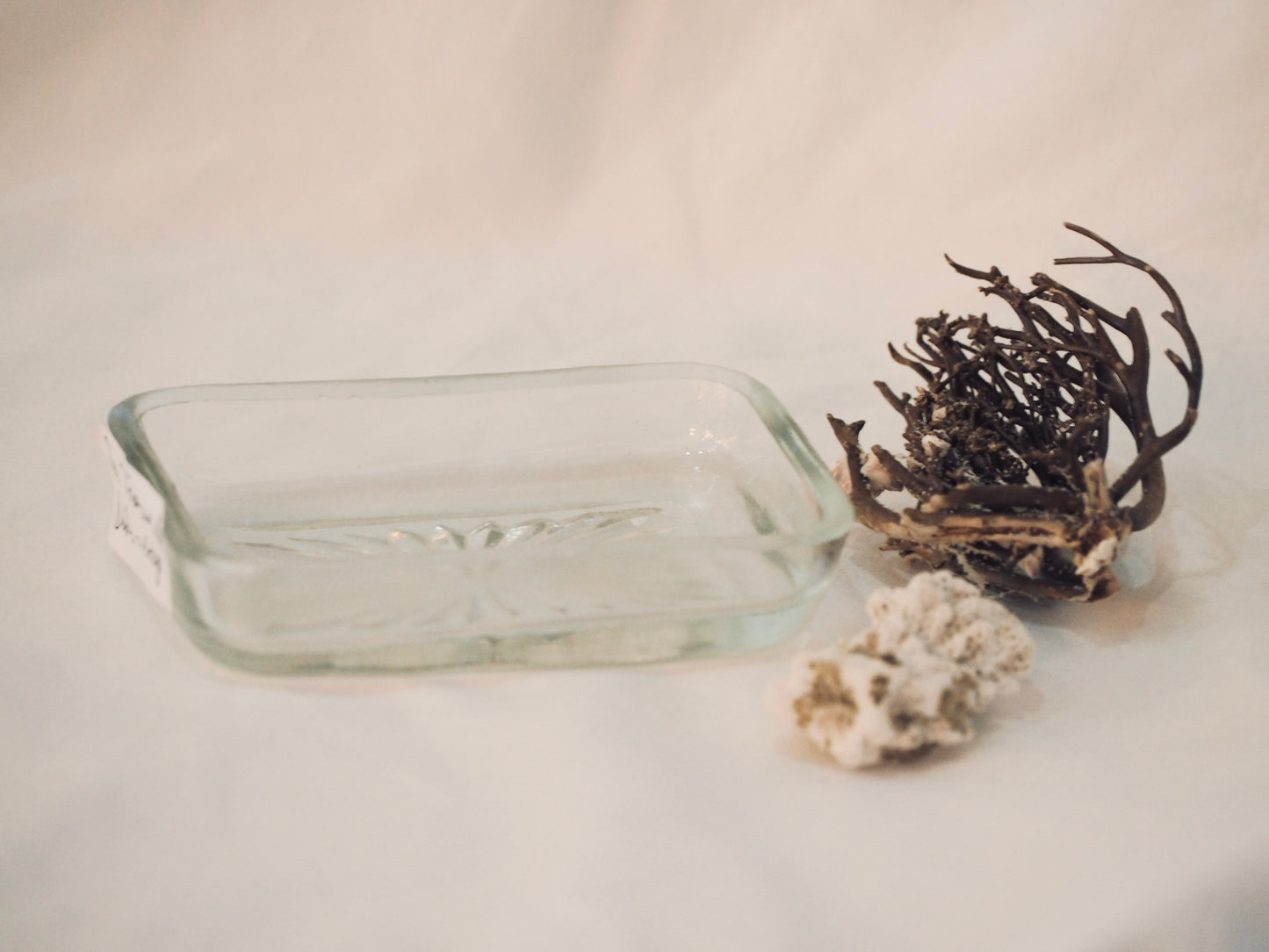 Sea Treasure Dish