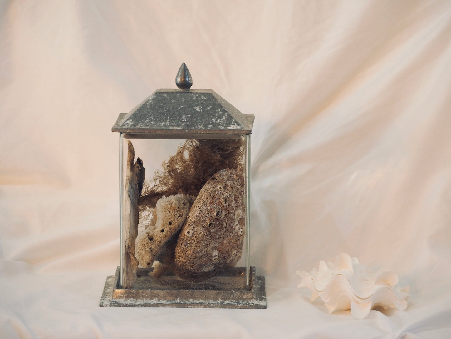 Sea Treasure Cloche