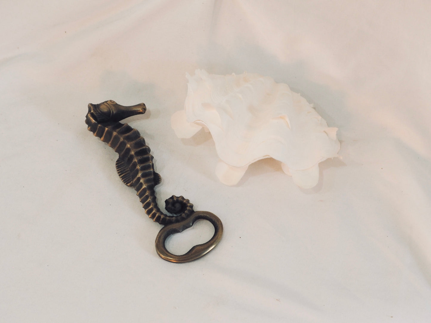Bottle Opener - Seahorse
