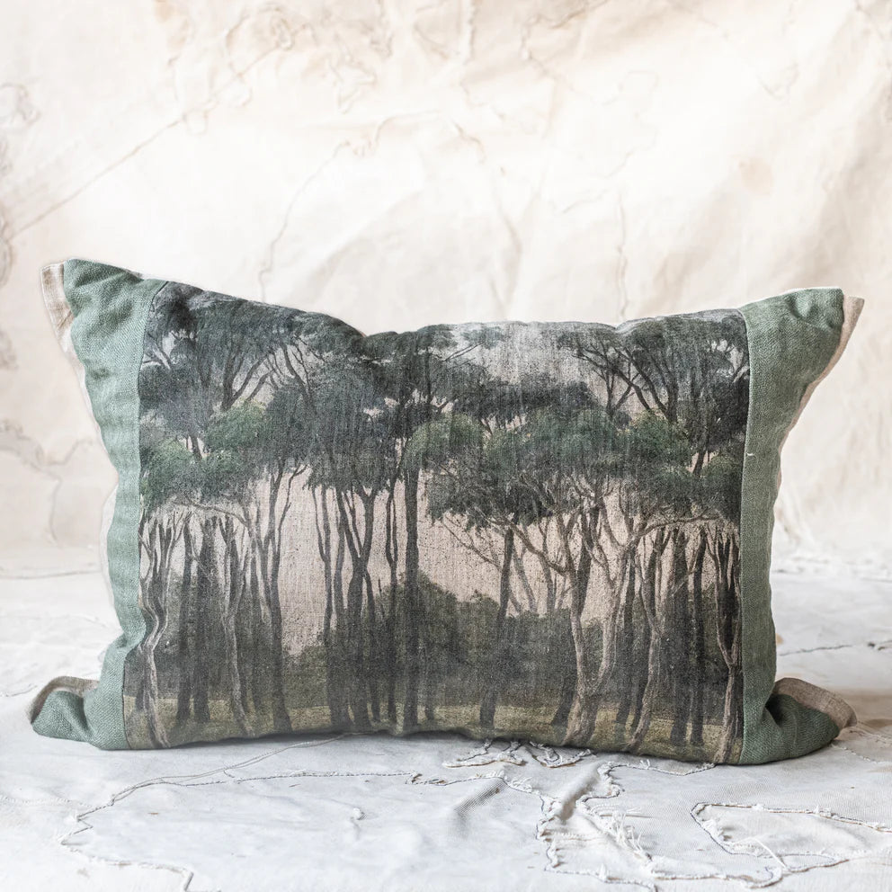 NEW! Manosque COLO Cushion 40cm x 55cm