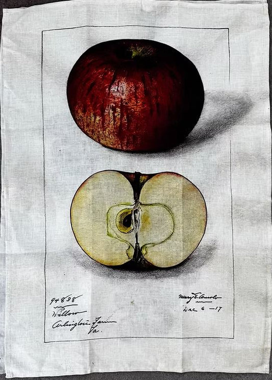 Linen Tea Towel Apple - Barbara O-Donovan Designs
