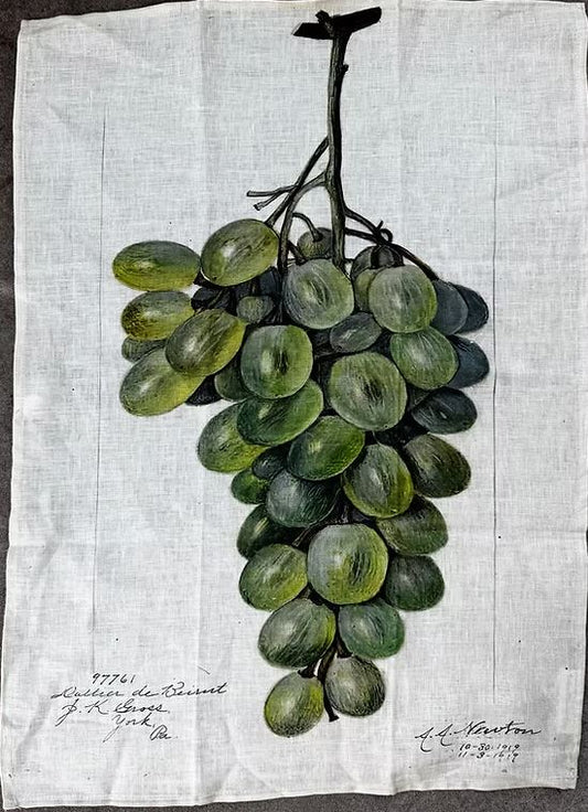 Linen Tea Towel Green Grape - Barbara O-Donovan Designs
