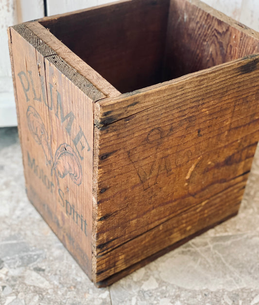 NEW! Plume Motor Spirit Box